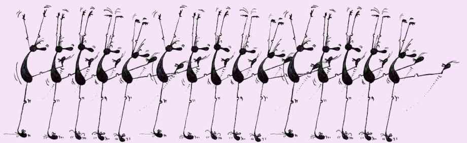 Even more line dancing Outsects