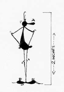 outsects-average-heightWeb1000w