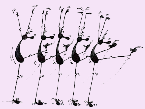 Line Dancing Outsects